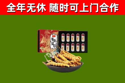 富裕烟酒回收冬虫夏草礼盒.jpg